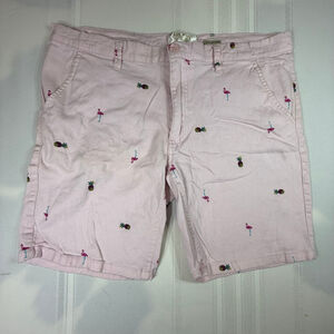 Raw Yarn Industries Men's Pink Flamingo Pineapple Shorts 36”